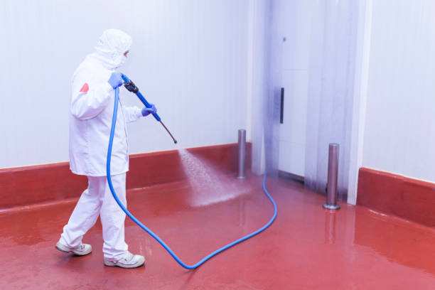 Best Sidewalk and Walkway Cleaning  in Snyder, TX
